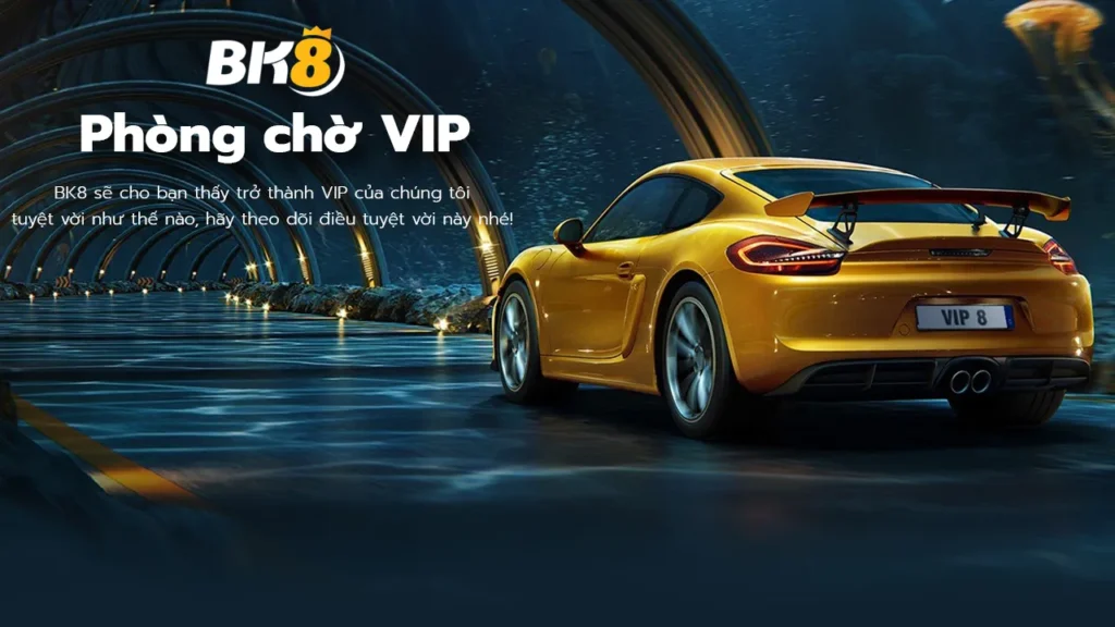 VIP BK8 – Trải nghiệm chương trình dành cho thành viên VIP